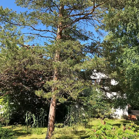 度假居 Levendula House - For 8 Guests At Balaton *